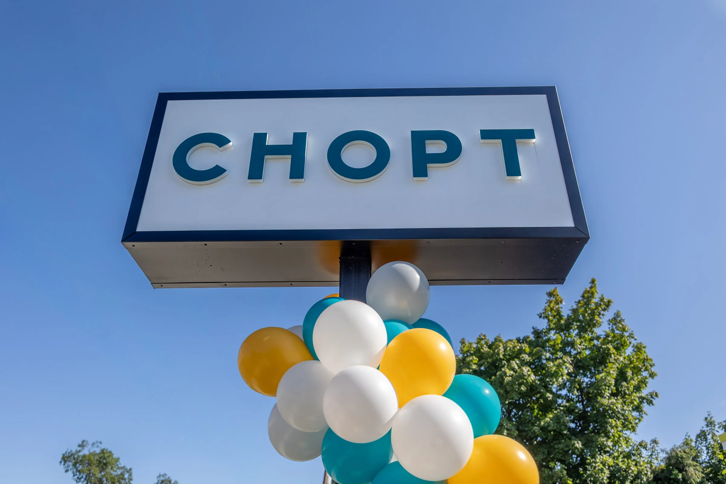 Dish from Chopt Salad Co.